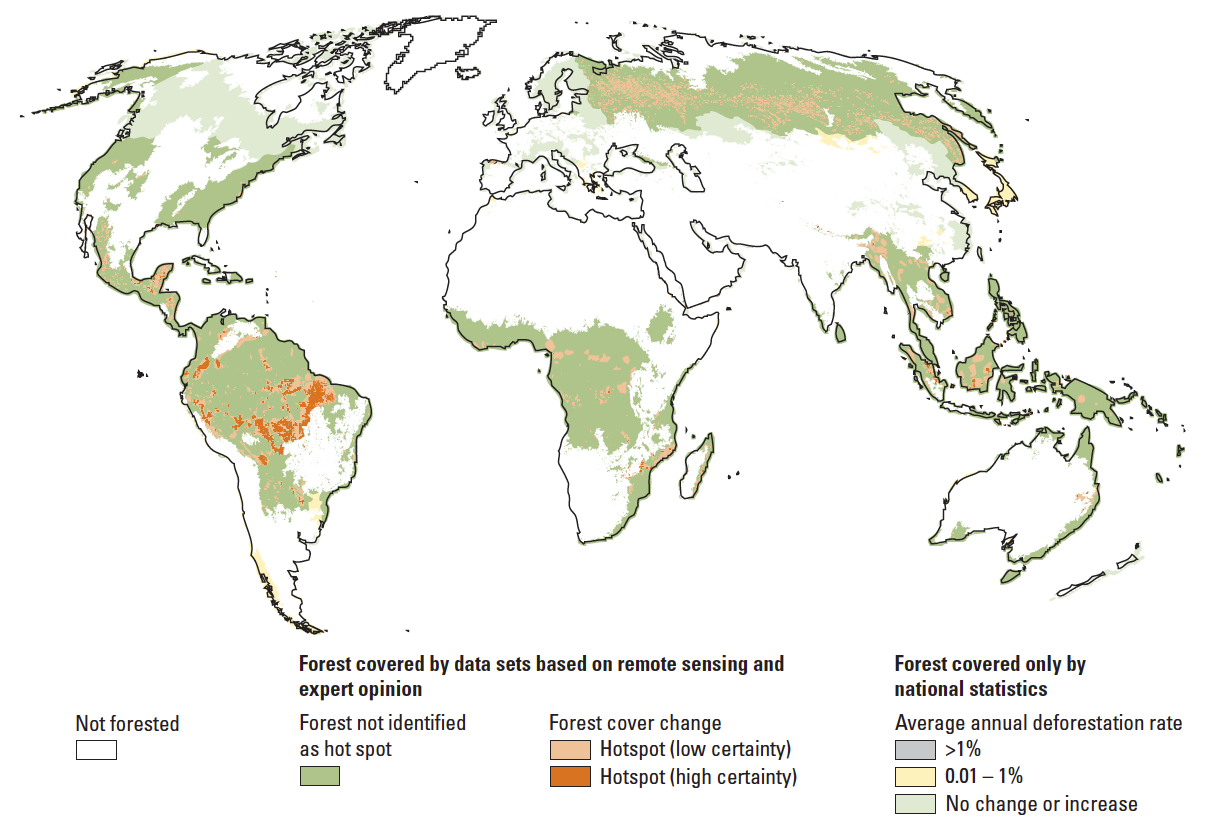 There was many forests. Where the rainforest is. Дождевой лес хох. Тропический лес rumassala jungle sanctuary. Текст the rainforests of the sea.