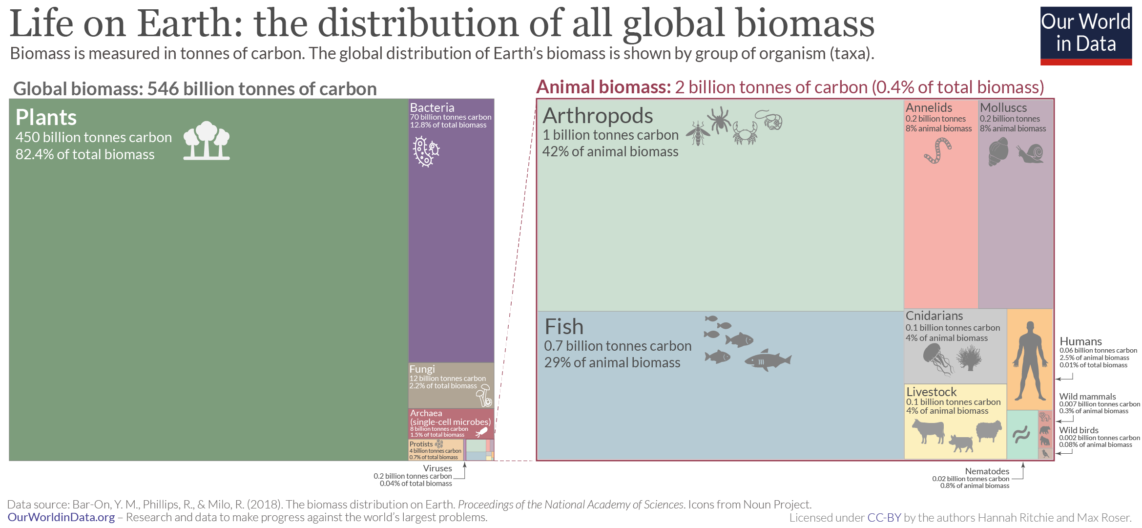 The Big Wildlife Census: How Many Animals Are In The World?