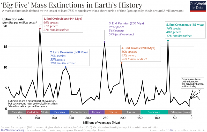 Big five mass extinctions