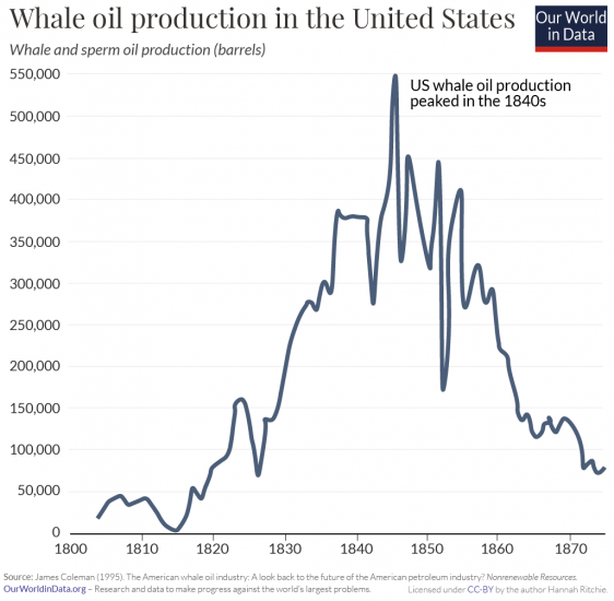 Whale oil production in the us